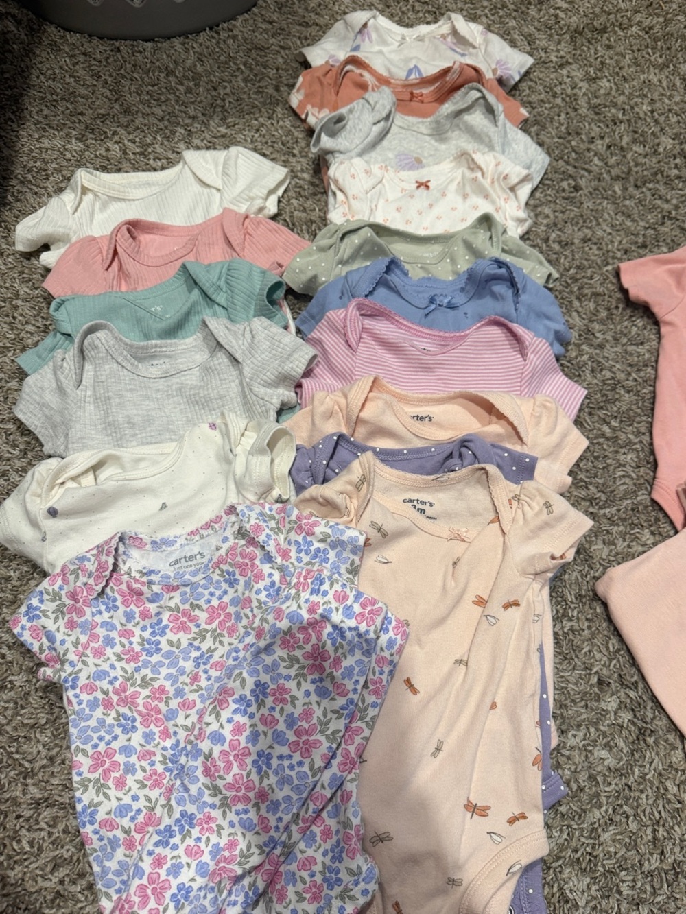 Baby Girl Carter's Onesie Bundle